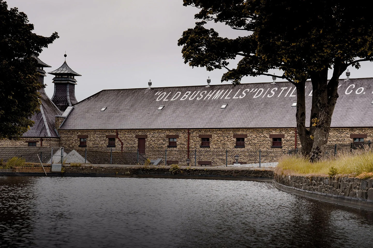 Bushmills Experience